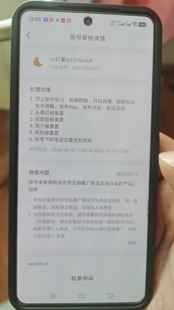 红书申诉文案代写