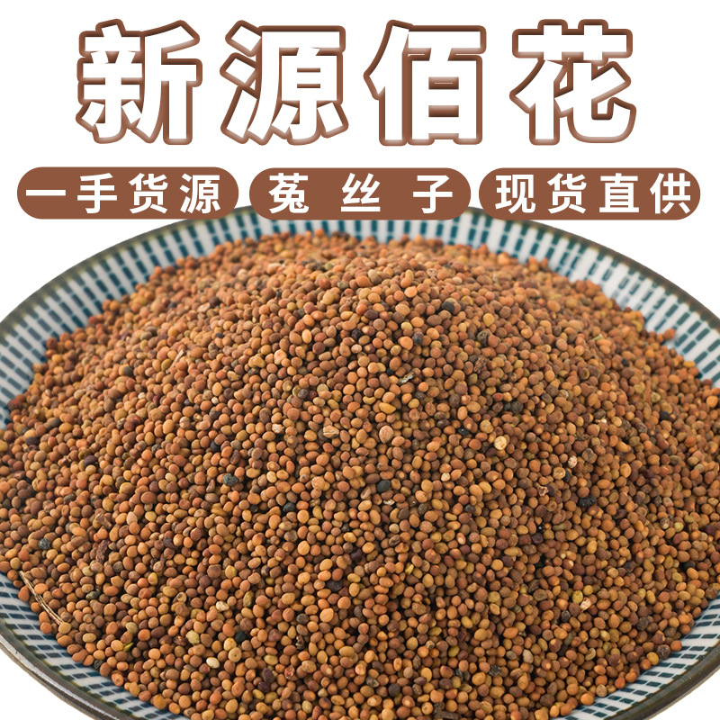 中药材500g菟丝子 包邮批发菟丝子 内蒙货源无硫熏泡茶水洗菟丝子