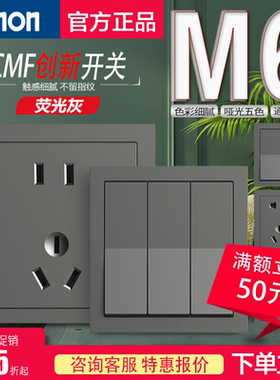 西蒙M6系列荧光灰色一开单双控五孔usb 86型家用暗装墙壁面板