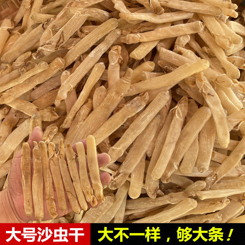 沙虫 沙虫干大条厚肉沙虫干海产干货海边捕捉渔民自晒35-45条50克
