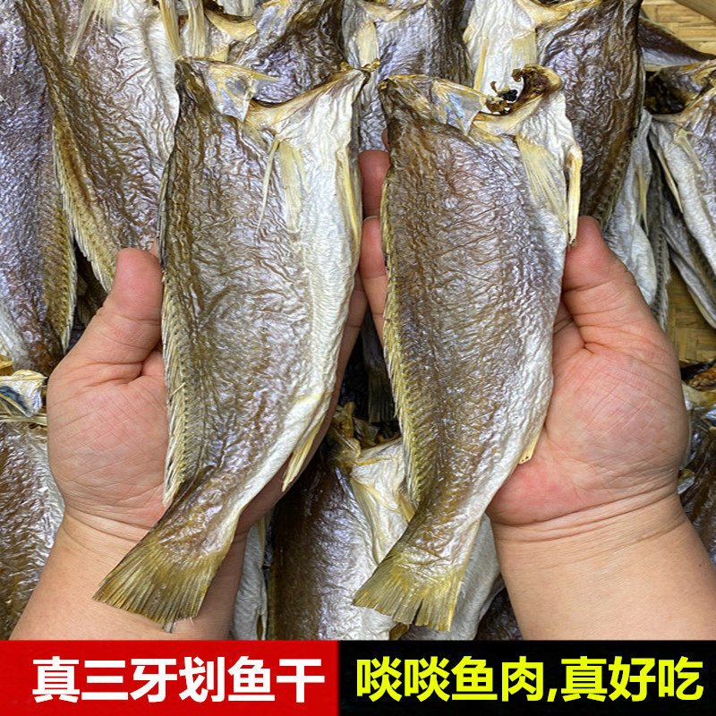 生晒淡口真三牙划肉鱼干淡干味道香深圳南澳渔民自晒靓鱼干