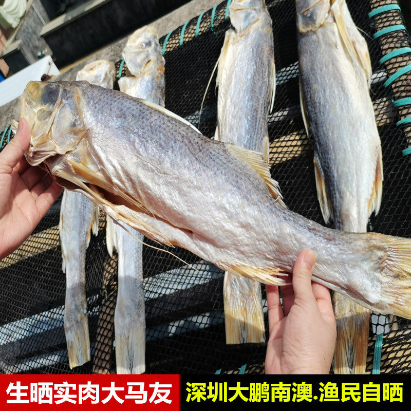 广东生晒实肉马友咸鱼海鱼干咸鱼干深圳大鹏南澳特产750g以上一条