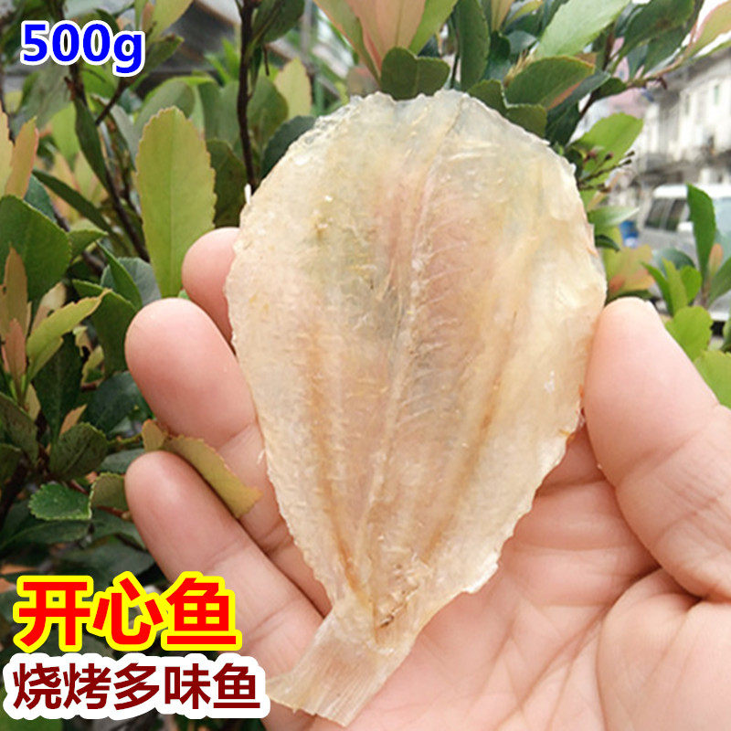 多味鱼干开心鱼干黄花鱼片烤鱼片烤鱼 鱼片干鱼干烧烤 海鱼干500g