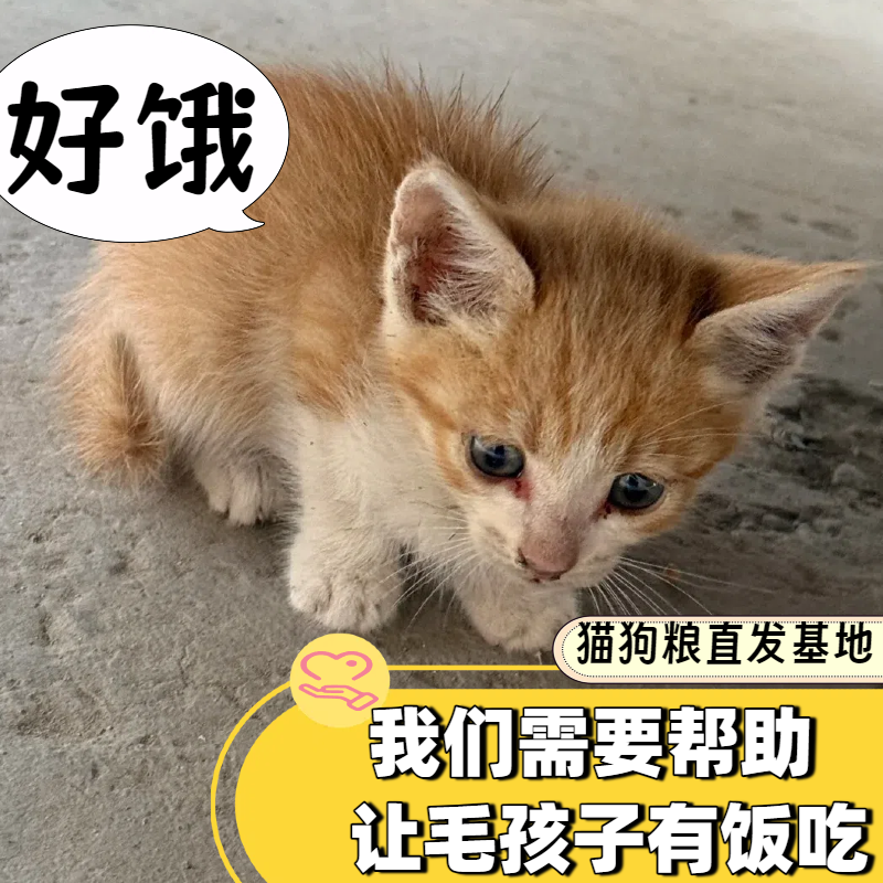 爱心捐赠 1分钱捐款0.01元1毛0.1毛钱一块钱商品包邮秒杀一元公益,个性定制/设计服务/DIY,3D打印/定制,淘宝优惠券,粉丝福利购,淘宝优惠卷