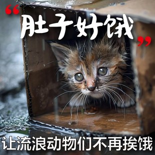 【慈善募捐】日行一善爱心捐赠毛孩子喂养猫狗救助流浪动物公益店
