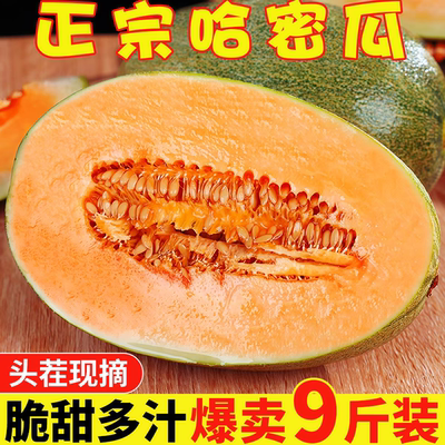 正宗哈密瓜脆甜9当季新鲜水果甜一整箱包邮现摘网纹瓜西州蜜海南