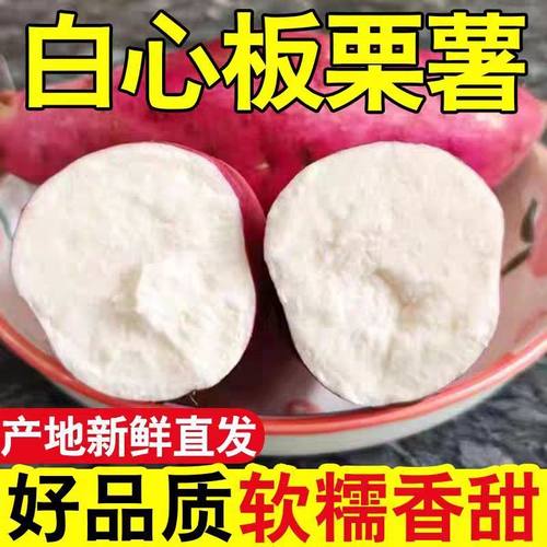 新鲜白心板栗红薯沙地农家红皮番薯老品种白瓤地瓜粉面甜山芋批发