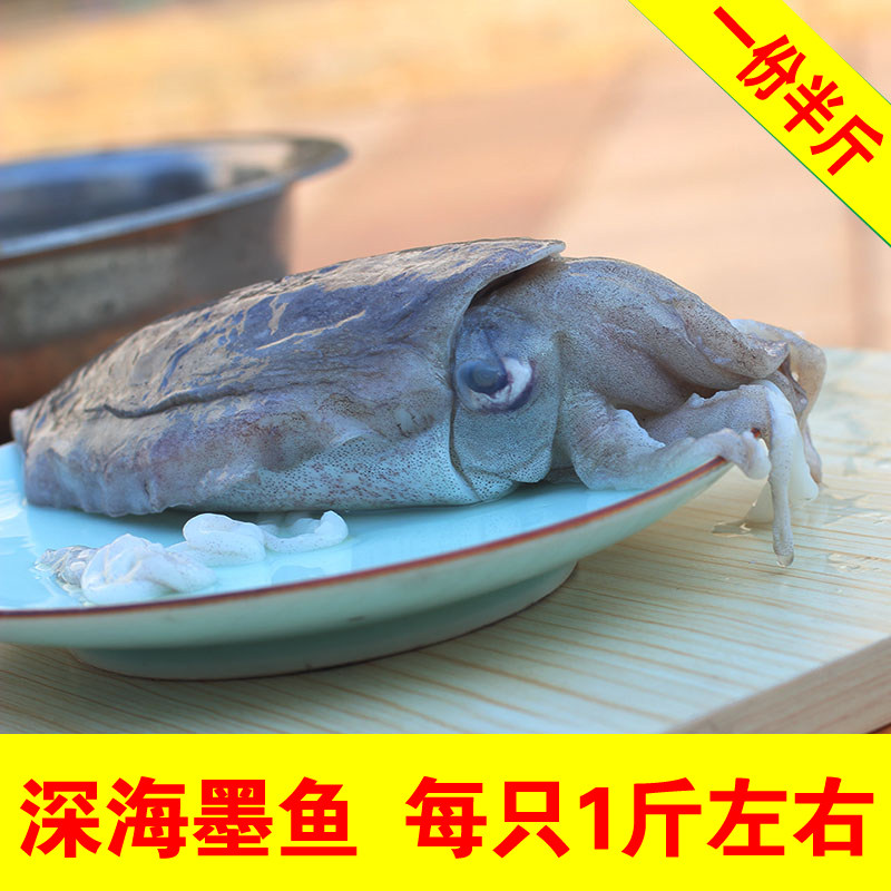 大墨鱼海鲜水产鲜活乌贼超大冰冻目鱼墨斗鱼墨鱼仔海鲜鲜冻墨鱼花