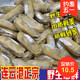 鲜活蛏子新鲜蛏子无沙双头蛏大竹蛏双头蛏海贝海产品贝类海鲜