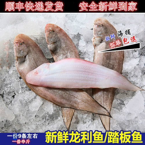 鳎目鱼质量怎么样 鳎目鱼口碑怎么样 小麦优选