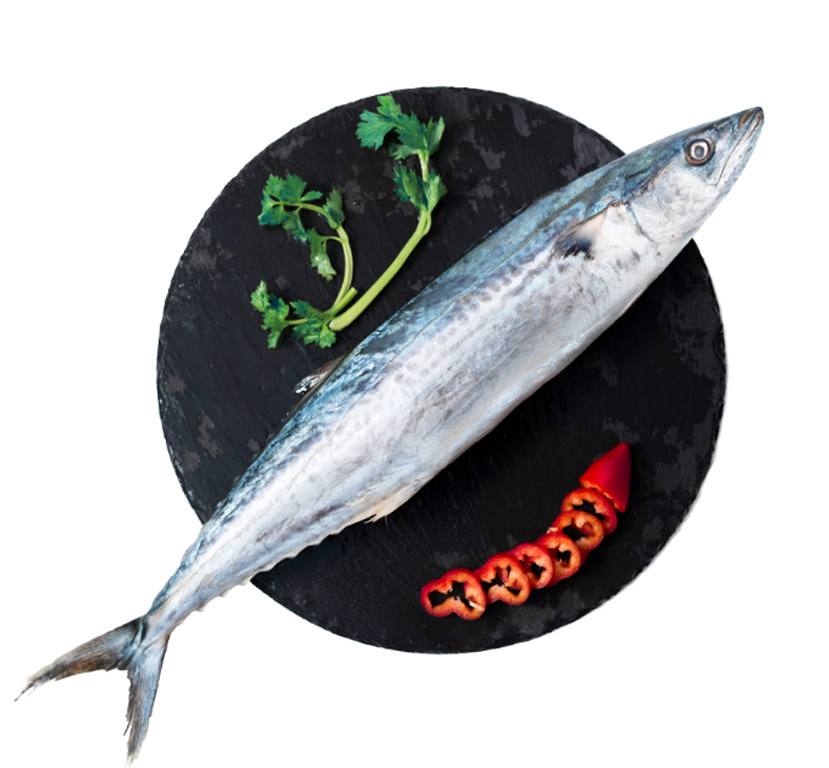 鲅鱼新鲜 鲜活海捕包邮冷冻海鲜水产深海马鲛鱼连云港鲅鱼1斤装