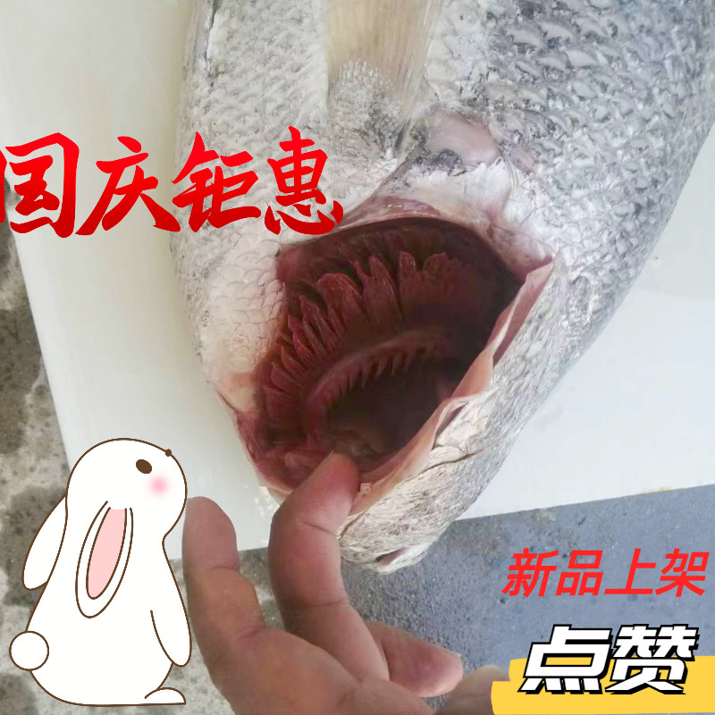 海鲜好吃新鲜5斤以上鮸鱼海刀鱼黑色单冻整条顺丰发货实惠