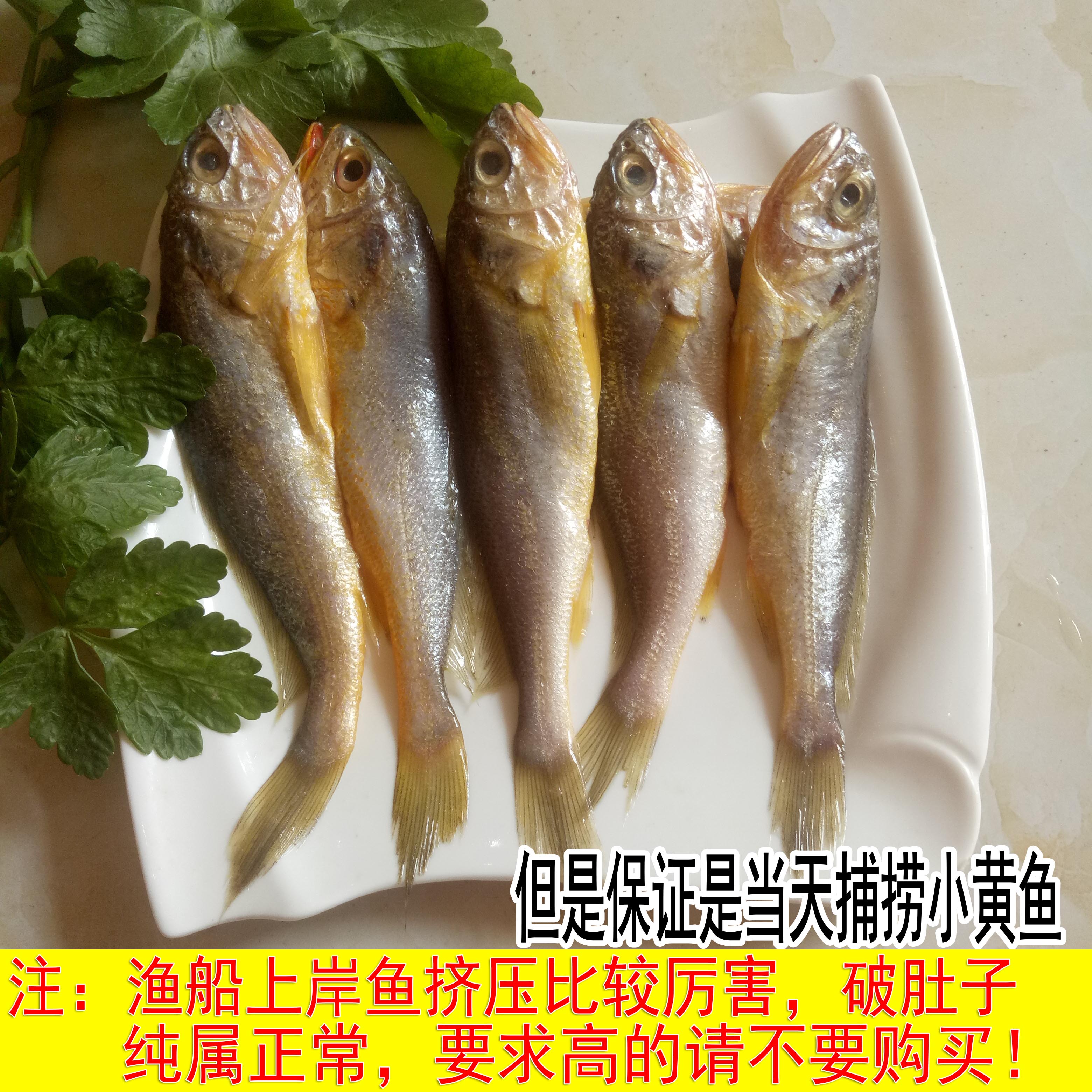 新鲜小黄花鱼12元/1斤一斤约16个 深海鱼宝宝辅食鲜活鱼海鲜水产 水产肉类/新鲜蔬果/熟食 黄鱼 原图主图