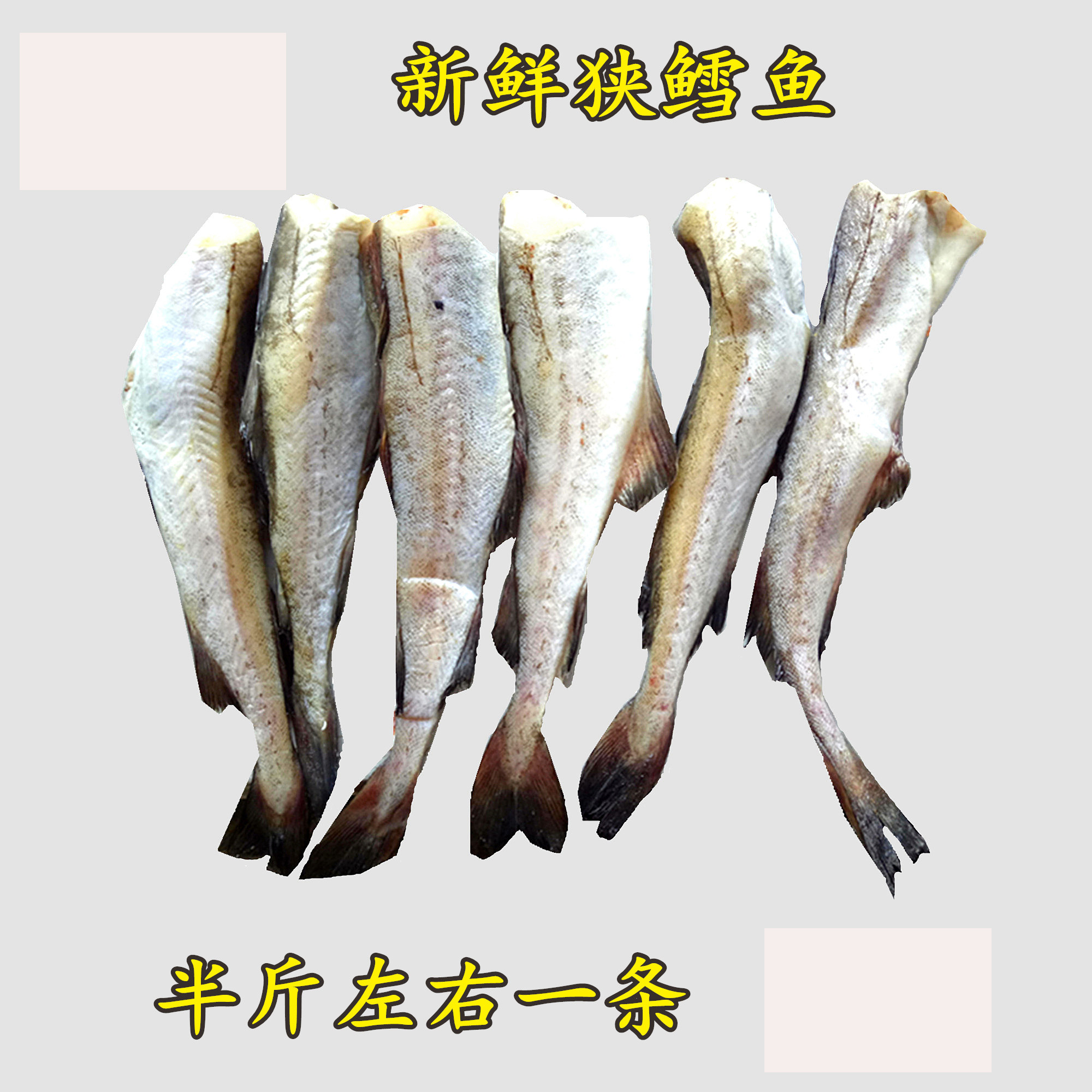 水产鲜活冷冻无头包邮鳕鱼