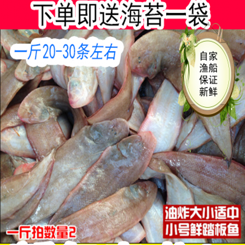 小号鲜活海捕龙利鱼踏板鱼新鲜舌头鱼鳎目鱼牛扁口鱼烧烤12元/斤