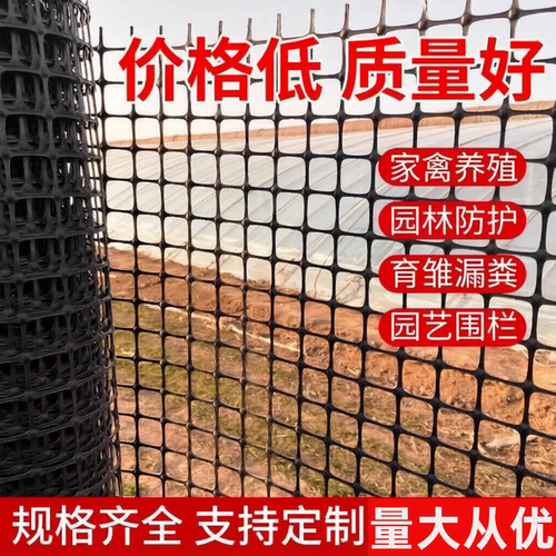 驰州加厚塑料养鸡网围栏隔离网