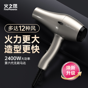 火之凤电吹风机6600X理发店发廊发型师2400W大功率速干无刷电风筒
