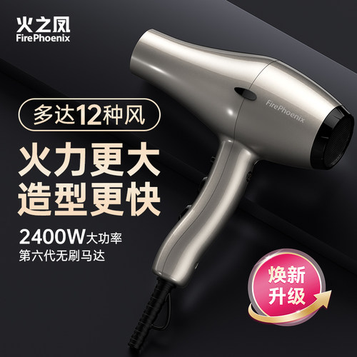 火之凤电吹风机6600X理发店发廊发型师2400W大功率速干无刷电风筒
