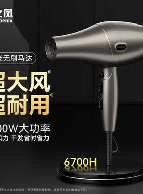 火之凤吹风机6700H无刷电机2400瓦大功率理发店发型师专用风筒