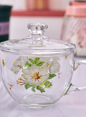 韩国家用耐热玻璃杯茶杯泡茶杯早餐燕麦玻璃杯玻璃煲花茶杯牛奶杯