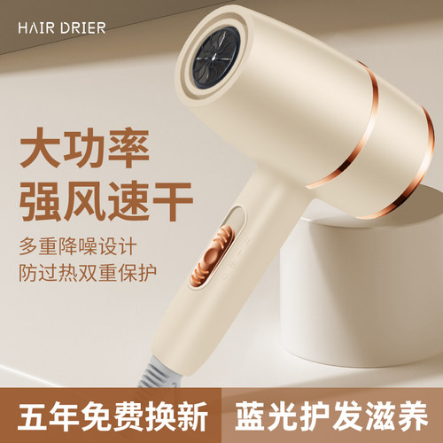 电吹风机大风力家用冷热风宿舍用负离子护发大小功率静音吹风速干