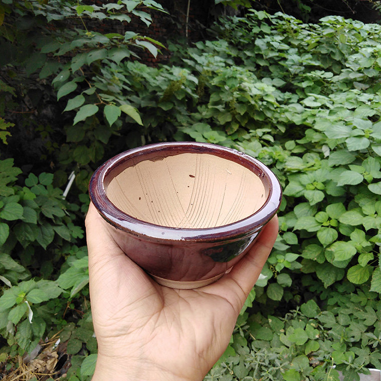 碗擂钵陶瓷擂钵擂羚西洋参羊角碗擂米糊研磨器四磨汤擂钵婴儿孕妇