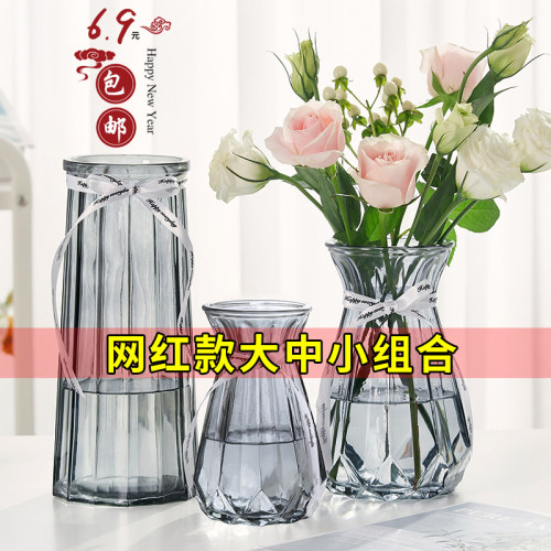 【三件套】网红玻璃水培绿萝百合
