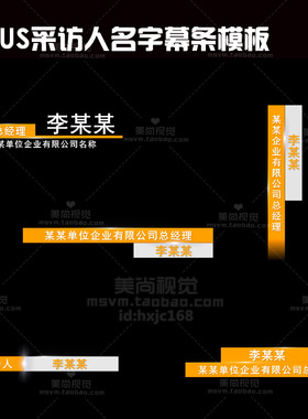 edius 人名字幕条模板 采访人物 专栏专题节目字幕素材 无需插件
