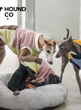 HoundCo.狗狗衣服秋冬休闲针织毛衣保暖通用全码柔软拼色