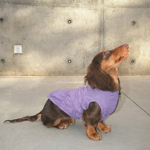 BBPRODUCTION宠物背心狗狗猫咪全码 防静电腊肠雪纳瑞马尔济斯