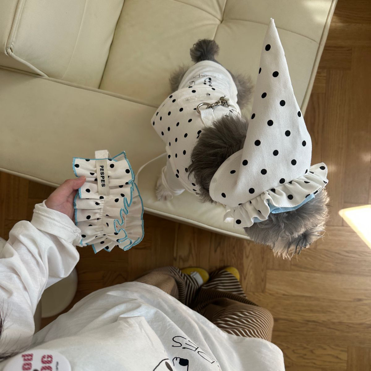 ins简约设计感猫咪狗狗出行胸背