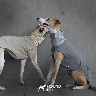 kaier集合Hound Co.夏季空调房免受凉轻量背心小灵缇惠比特犬专属