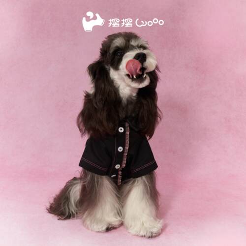 摆摆wooo猫咪狗狗衬衫夹克衣服