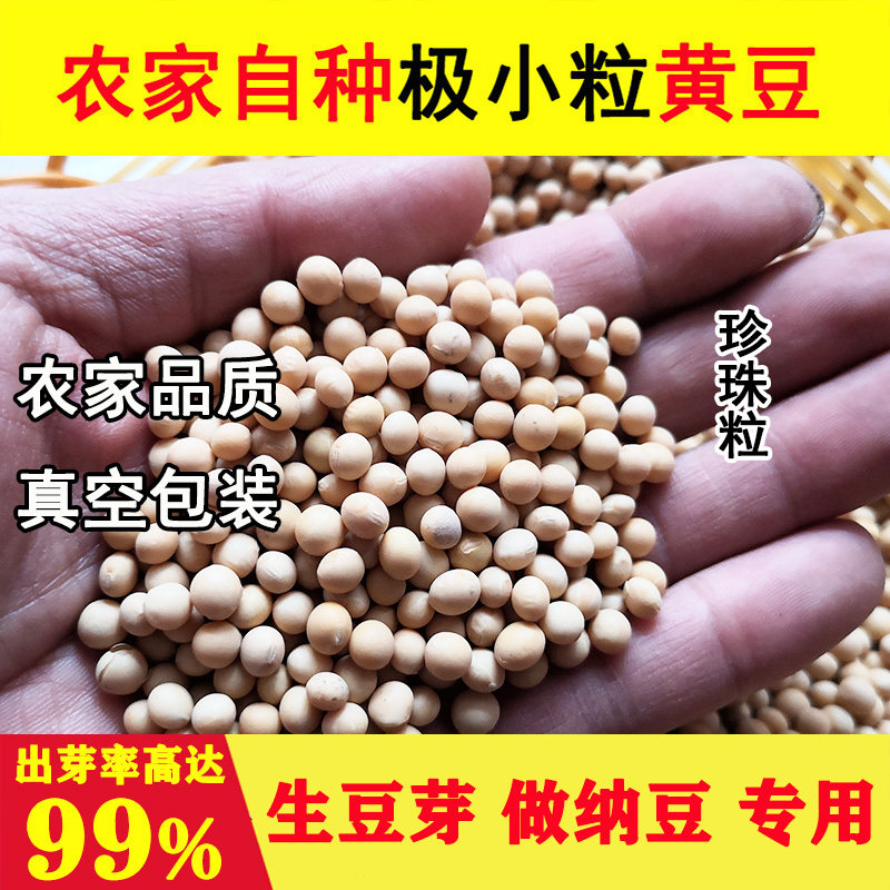东北农家自种极小粒黄豆生豆芽纳豆专用出芽率99%五谷杂粮新货