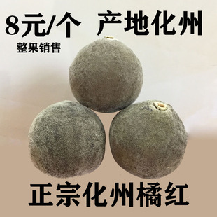 化州橘红陈年正宗金毛化洲橘红广东茂名金正毛吉红化桔红包邮
