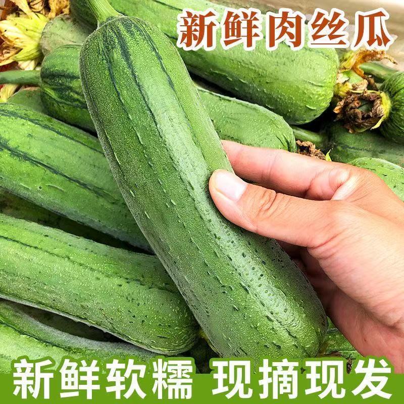 四川丝瓜新鲜当季新鲜蔬菜奶油丝瓜下奶皮薄肉厚农家现摘现发丝瓜 水产肉类/新鲜蔬果/熟食 丝瓜 原图主图