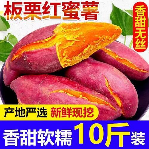 四川超甜沙地蜜薯新鲜红薯板栗薯糖心红心西瓜红山芋黄心地瓜红苕