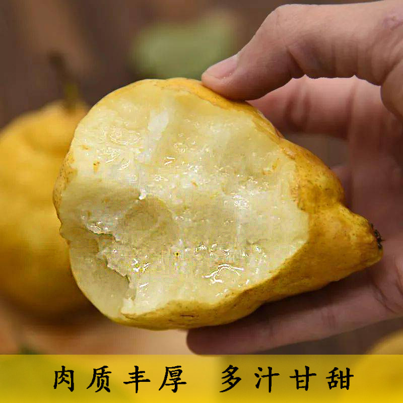 新鲜水果正宗山东烟台中华丑梨核心产区昆嵛山地域特产整箱包邮属于什么档次？