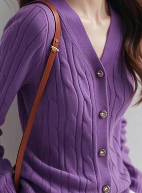 紫色v领针织衫上衣春装女2025新款今年流行漂亮法式显瘦小衫