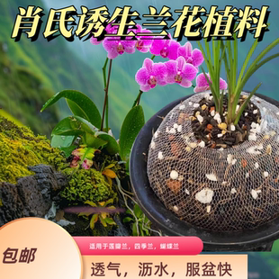 肖氏诱生兰花植料松筋栗树叶配方透气沥水好腐熟肥足营养土包邮