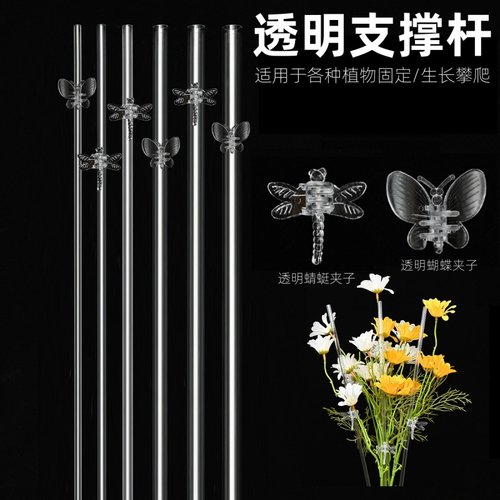 透明园艺兰花爬藤植物固定支架