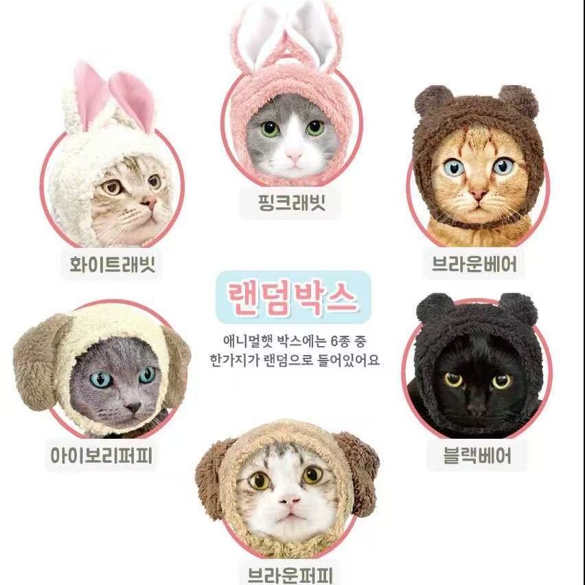 猫帽子变身装饰拍照头饰