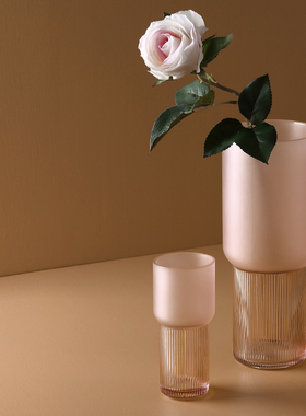 透明玻璃花瓶摆件家居客厅水培插花器红色ins风装饰创意花瓶摆设