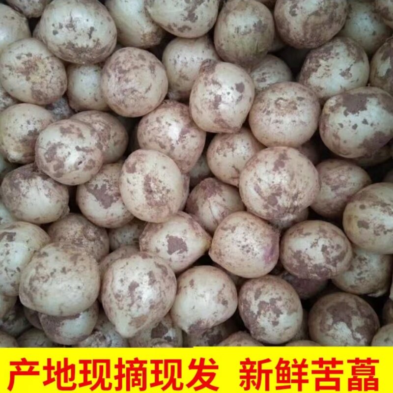 苦藠团葱农家小根蒜野葱头苦藠苦茭小蒜薤白团蒜圆蒜九母子蒜洋蒜