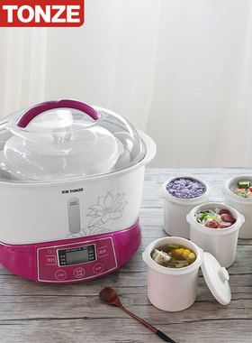 天际DGD-32EBG 隔水炖电炖锅大容量一锅五胆煮粥煲汤锅家用电炖盅