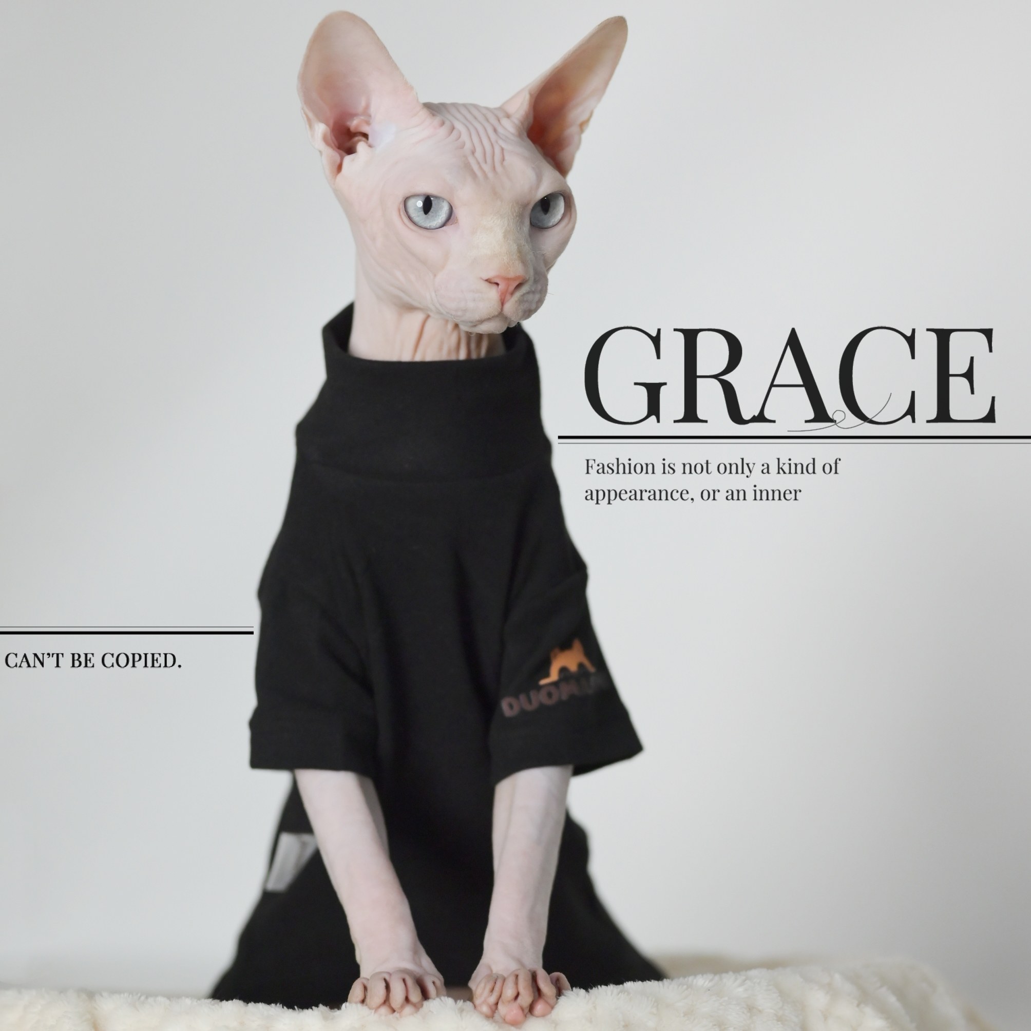 无毛猫衣服德绒保暖发热打底卫衣斯芬克斯德文尼斯