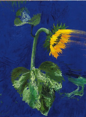 A139【荷兰】埃里克·安德烈（Erik Andriesse）绘画网传图库