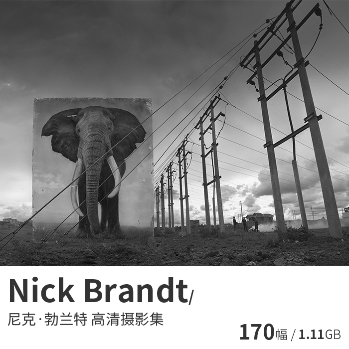 nick brandt 尼克·勃兰特黑白野生动物摄影大师电子图片资料素材