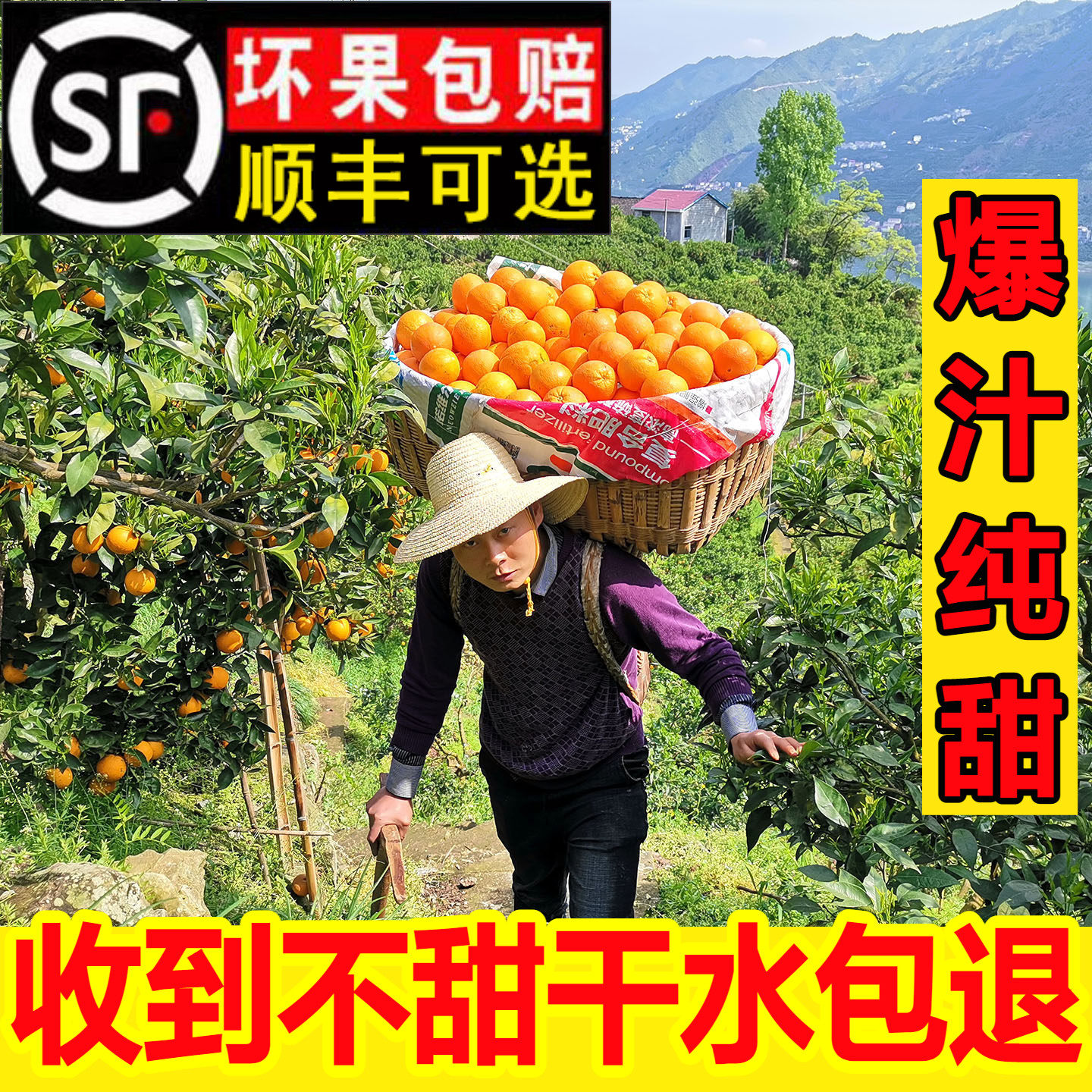秭归伦晚脐橙纯甜爆汁当季现摘包邮湖北新鲜水果榨汁整箱手剥橙子