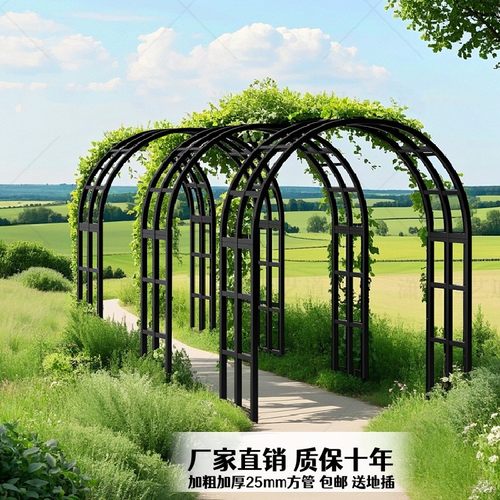 铁艺拱门花架户外花卉葡萄爬藤架